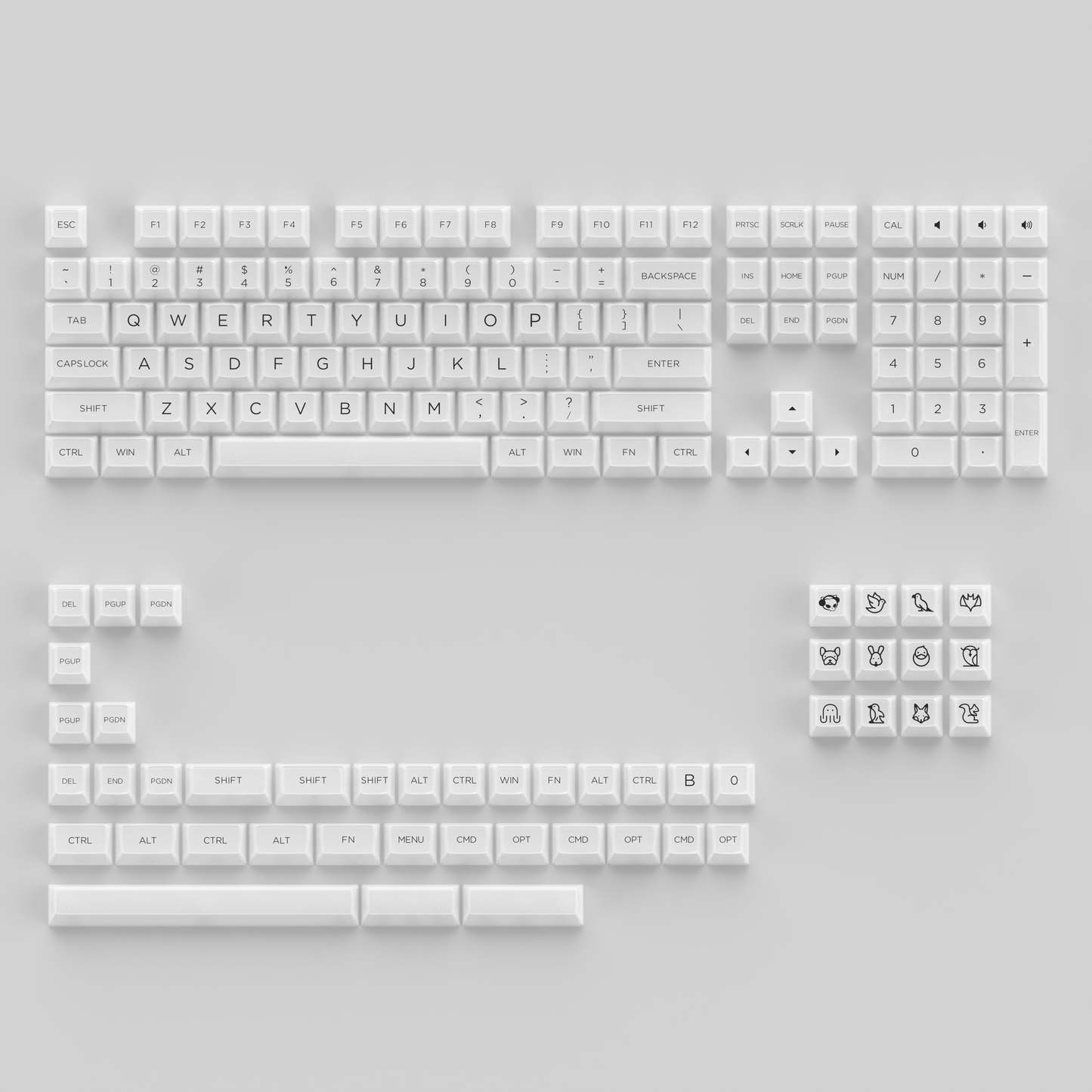 AKKO ASA CLEAR KEYCAP SET (SHINE THROUGH)