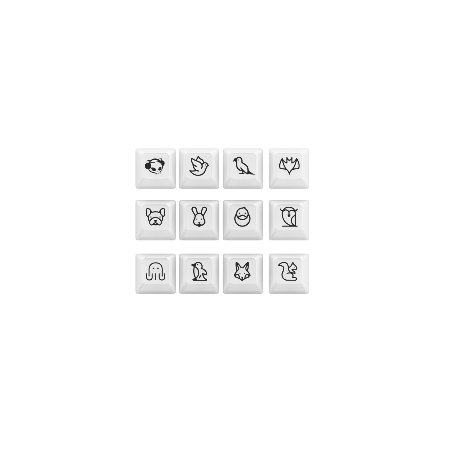 AKKO ASA CLEAR KEYCAP SET (SHINE THROUGH)