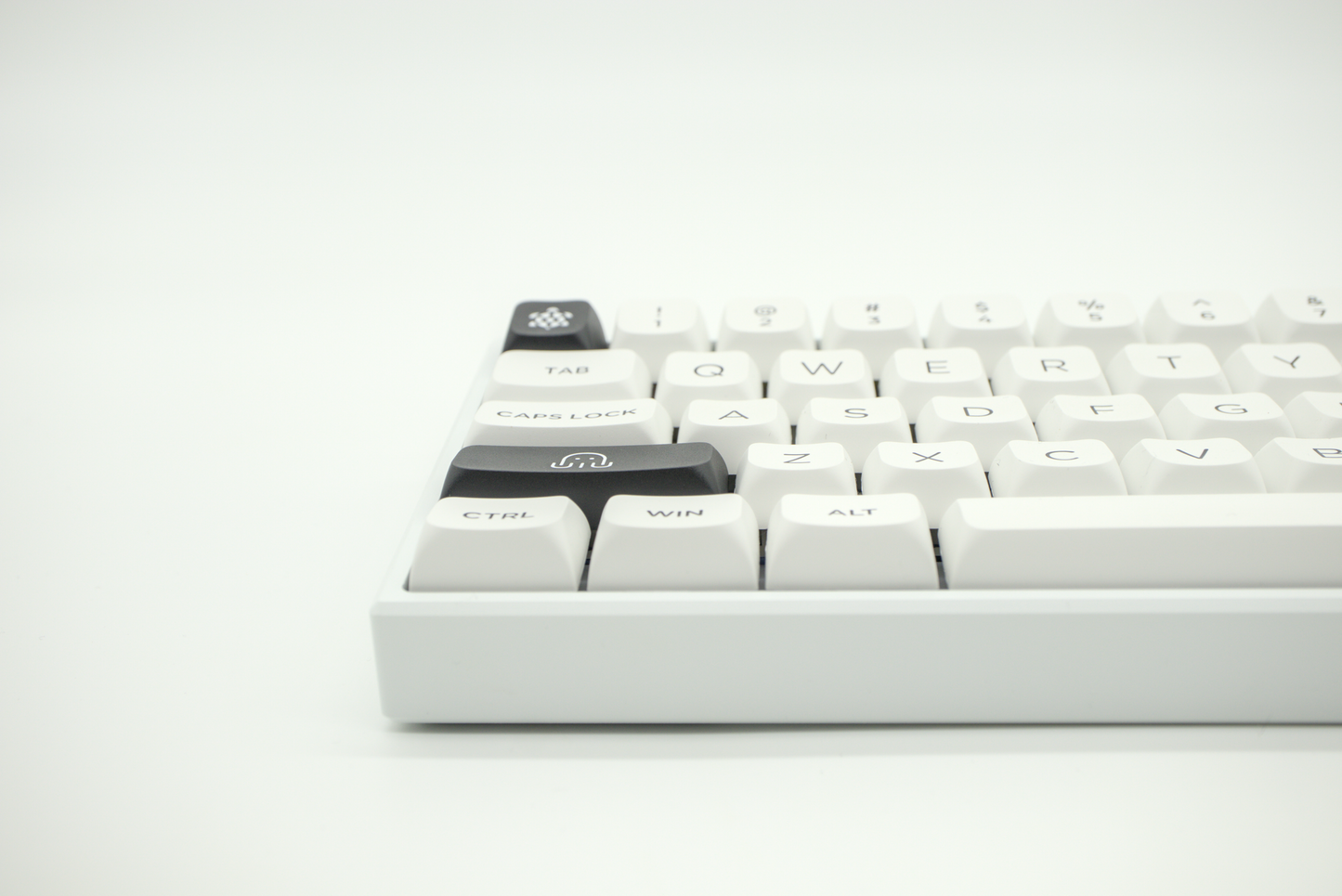 AKKO BLACK ON WHITE BoW