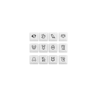 AKKO ASA CLEAR KEYCAP SET (SHINE THROUGH)