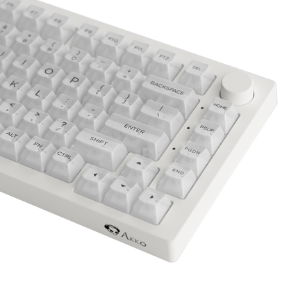 AKKO ASA CLEAR KEYCAP SET (SHINE THROUGH)