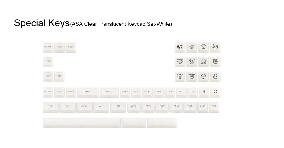 AKKO ASA CLEAR KEYCAP SET (SHINE THROUGH)