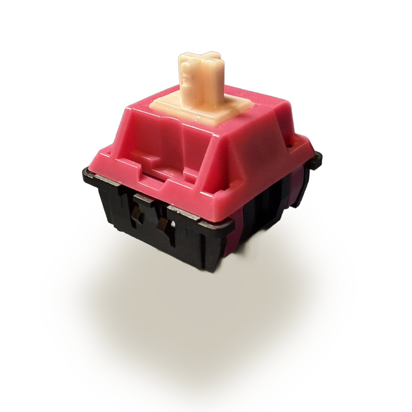 BLACK CAT STUDIO - MUGGY CHEESE LINEAR