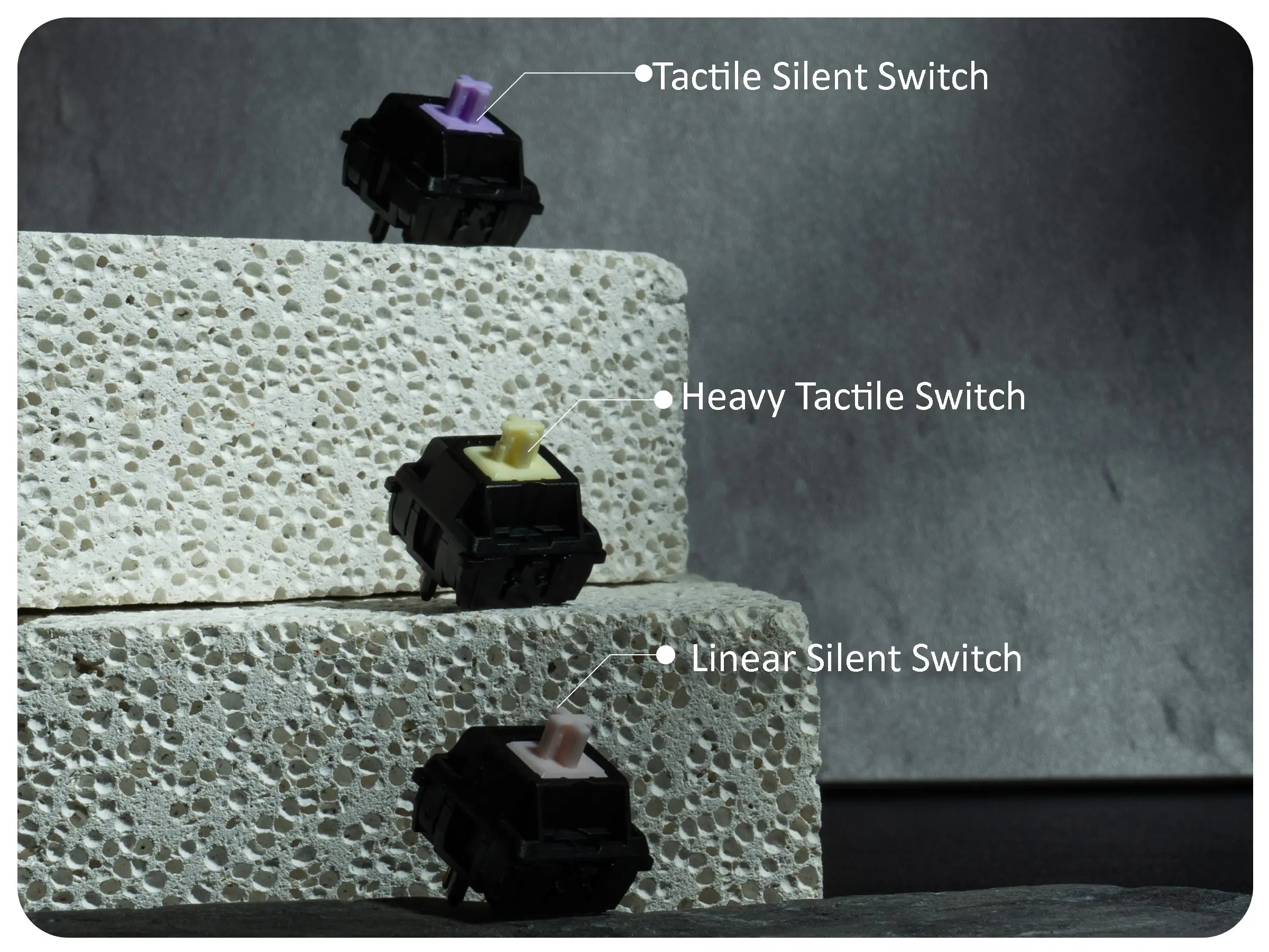 GATERON OIL KING LIGHT PURPLE TACTILE SILENT