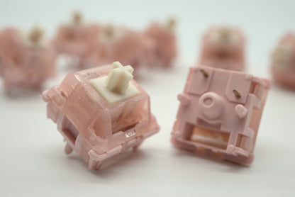 BSUN STRAWBERRY YOUTH