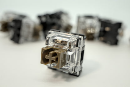 TTC SILENT BROWN V2