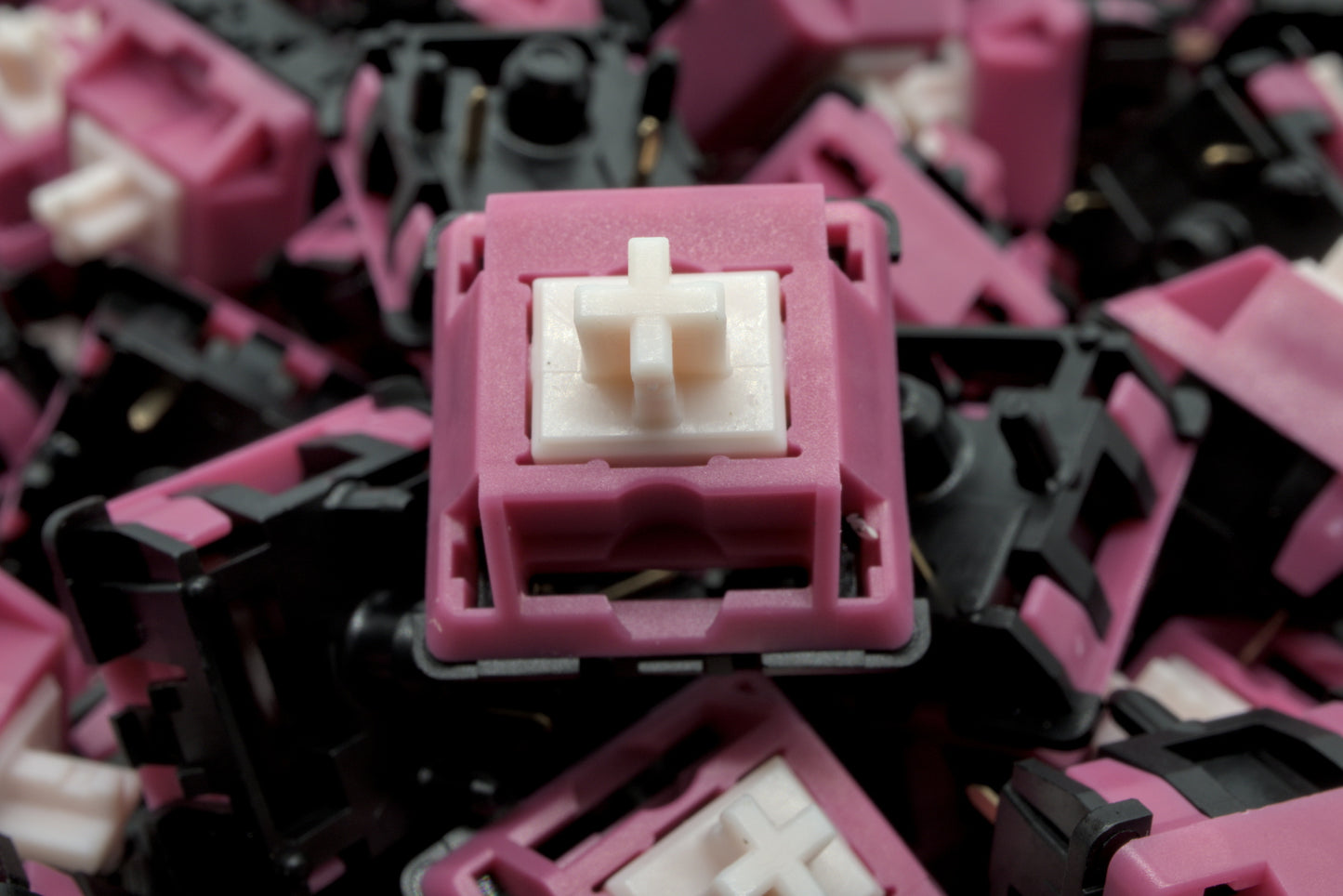 BLACK CAT STUDIO - MUGGY CHEESE LINEAR