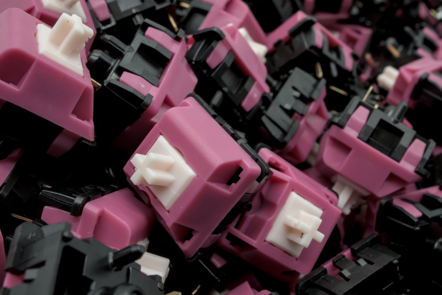 BLACK CAT STUDIO - MUGGY CHEESE LINEAR