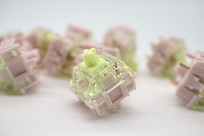 GATERON HARMONIC CLICKY SWITCH