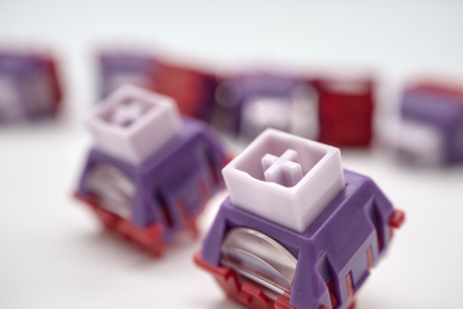 TTC POM KING HE (KOM)