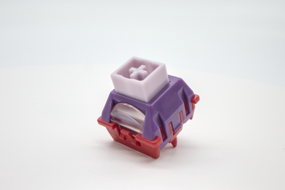 TTC POM KING HE (KOM)