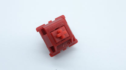GATERON TYPE R