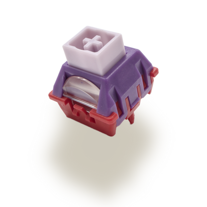 TTC POM KING HE (KOM)